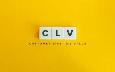 Lifetime Value vs. ROI: Which Marketing Metric Should You Use?